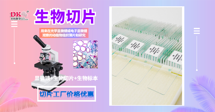 海報1 (1)